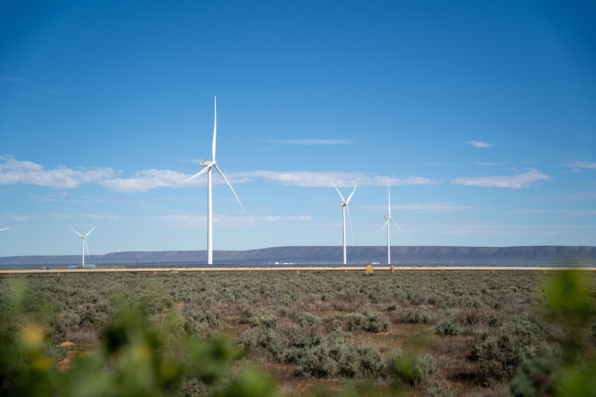 A view of wind turbines in the vicinity of Port Augusta in SA.