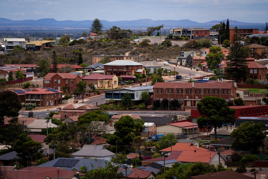 An aerial overview of houses on a small hill