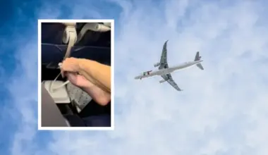 Passenger’s ‘disgusting’ mid-flight act on busy plane sparks fury and health warning from experts