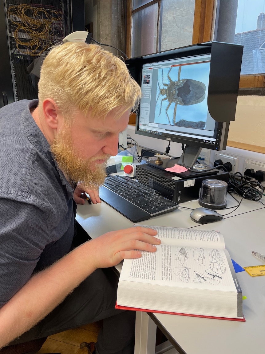Daniel Bardey studies a book with bugs. A nearby computer has an image of a larrakia feather-legged assassin bug open