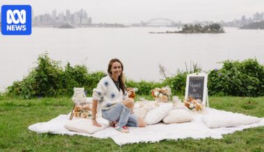 Sydney council to charge pop-up picnics, dog walkers and gender reveal parties for using parks