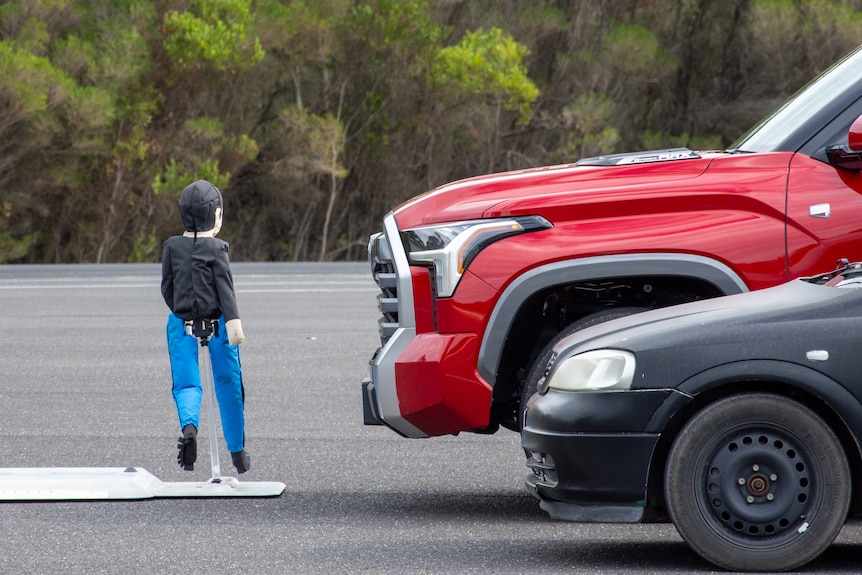 A dummy model of a child walking in front of a passenger car and a large ute