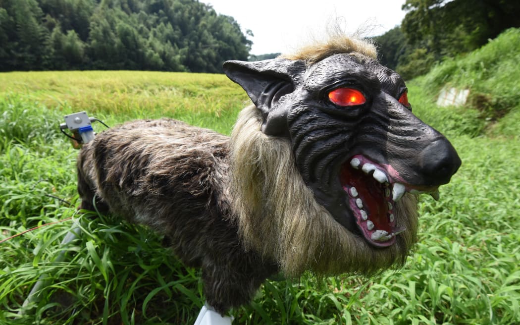 (FILES) A wolf-like robot