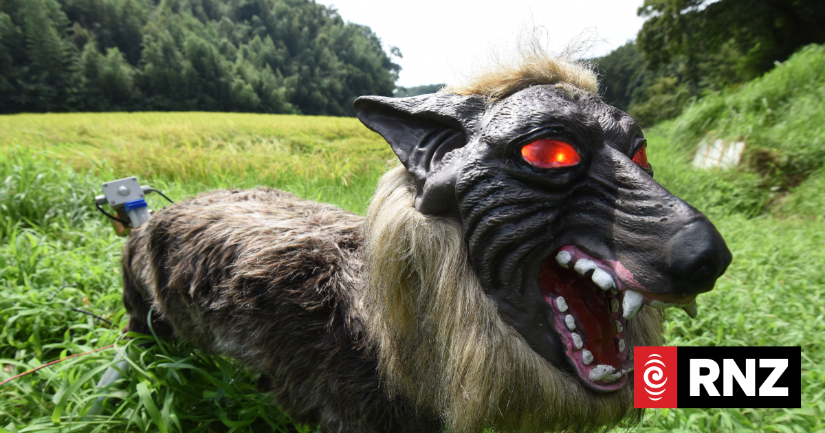 Japan 'robot wolves' in high demand to scare off bears