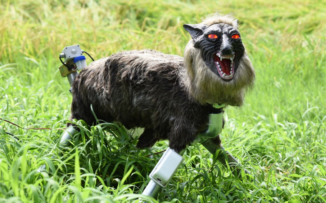 (FILES) A wolf-like robot
