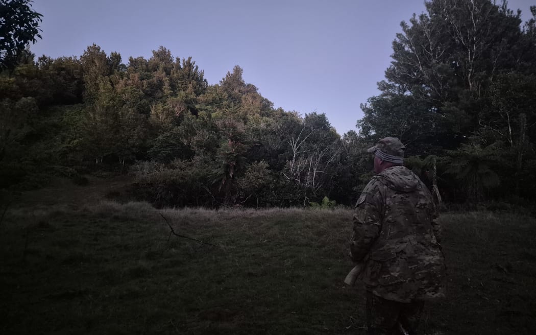 Allen scans the bush in the low light as we listen to a stag roaring.