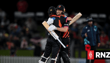Proposed NZ20 cricket league still more than a year away