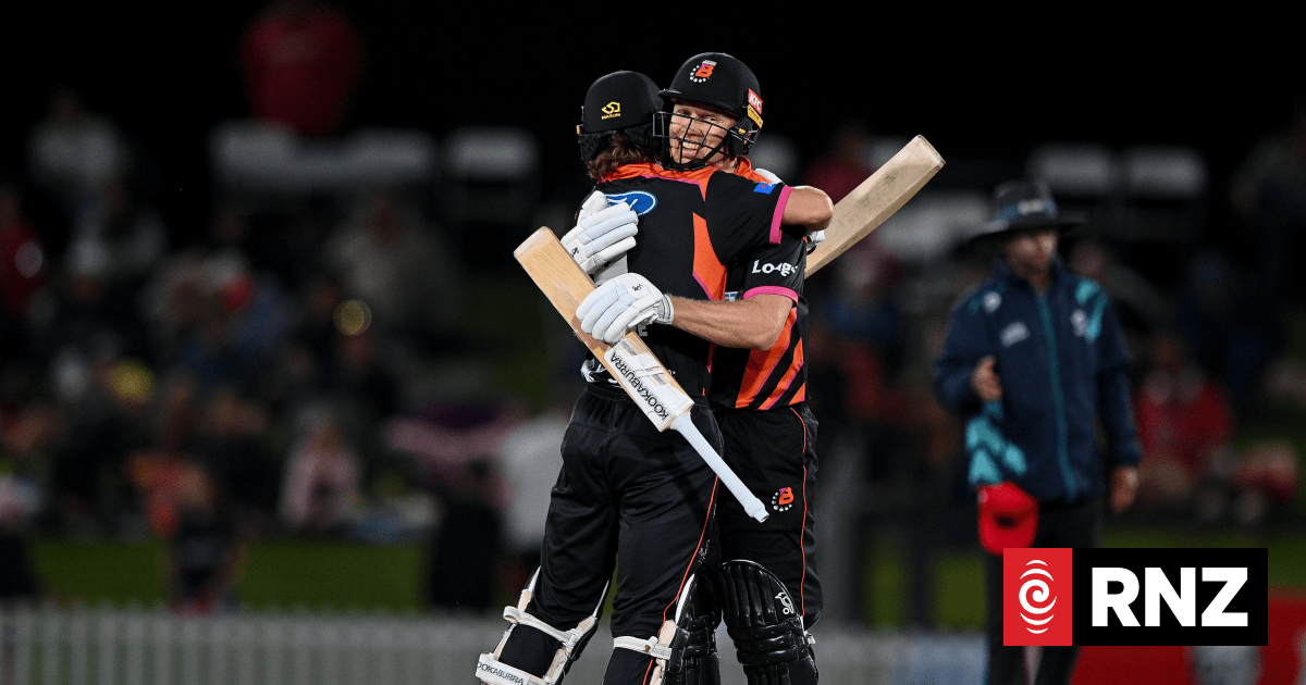 Proposed NZ20 cricket league still more than a year away
