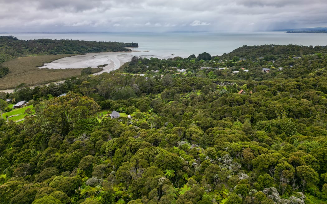 The Waitākere Ranges looking towards Manukau Harbour.
