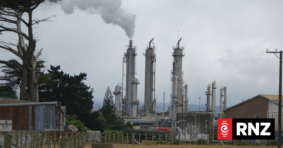 OECD report suggests raft of reforms to help New Zealand economy