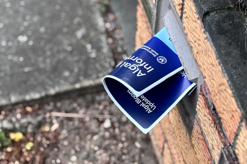 A blue folded up pamphlet reading 'algal bloom information' tucked inside a letterbox.