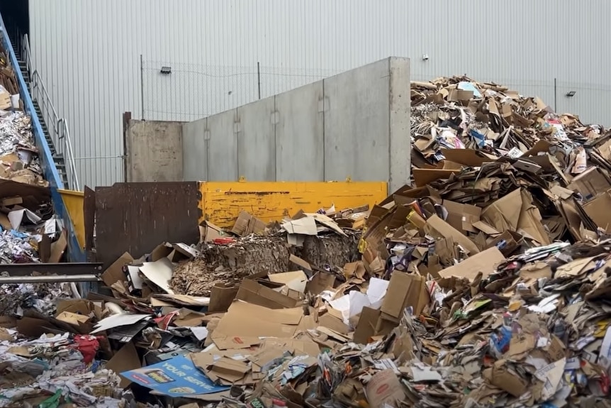 A large amount of cardboard all squished together with some materials going up a conveyor belt outside a white building.