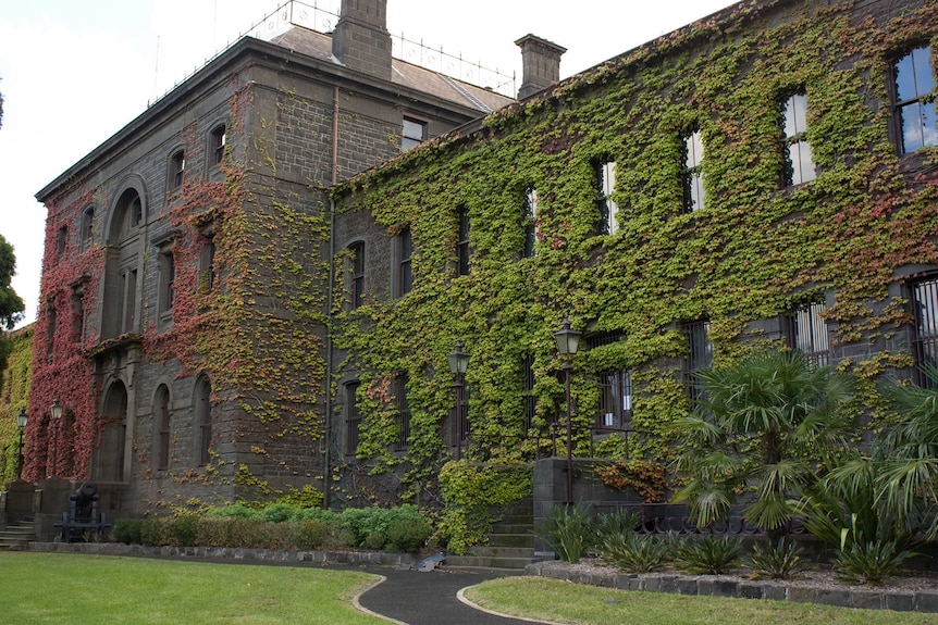 A bluestone heritage building covered in green and red ivy.