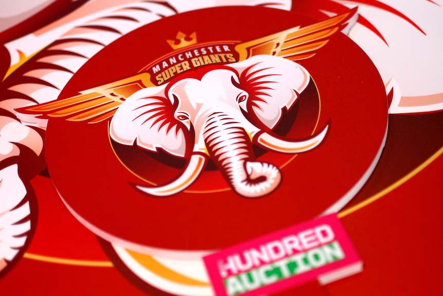 A Manchester Super Giants logo on a paddle at The Hundred auction.