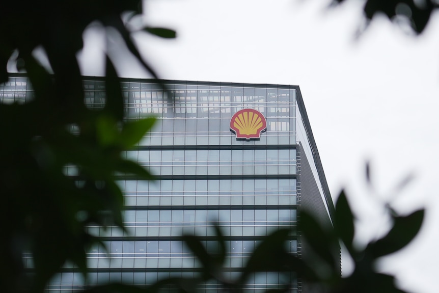Shell building behind some tree branches