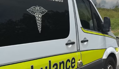 Toddler fights for life after dog attack - The Courier Mail