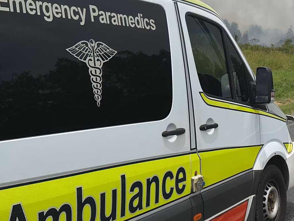 Toddler fights for life after dog attack - The Courier Mail
