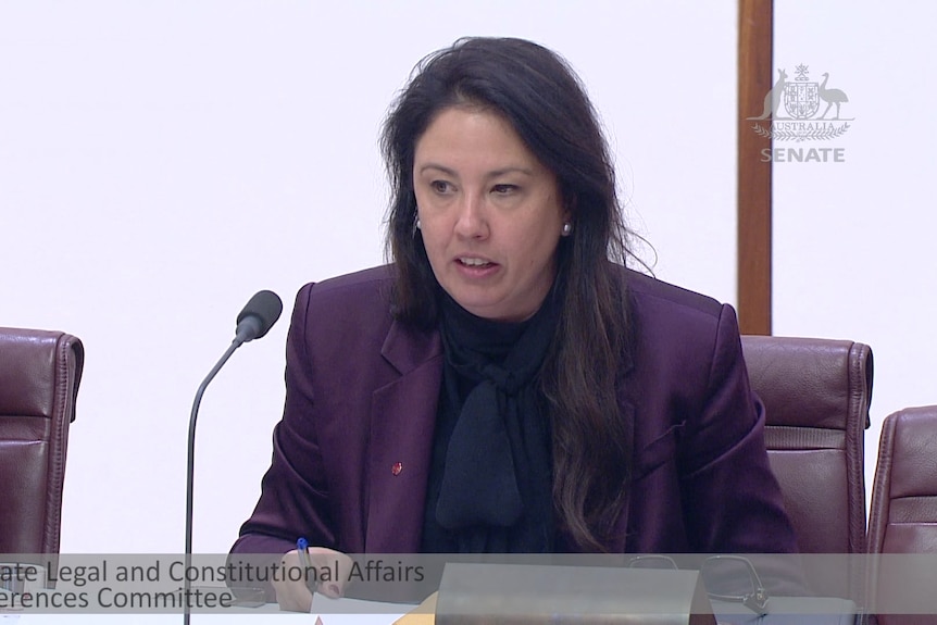 Screen grab of a senate hearing featuring a woman with dark hear wearing a purple suit.