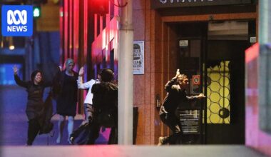 The world-first trial testing whether counter-terrorism strategies can prevent domestic homicide