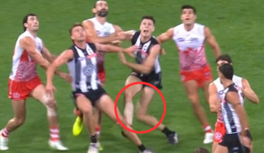 Western Bulldogs