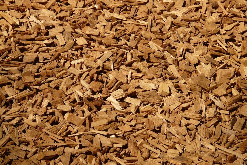 Close up of a pile of wood chips, generic image.