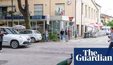 Peacock ‘invasion’ of Italian seaside town ruffles feathers | Italy
