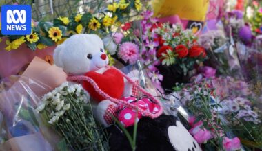 Charges yet to be laid as Kumanjayi Little Baby's family thanks community for support