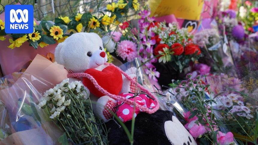 Charges yet to be laid as Kumanjayi Little Baby's family thanks community for support