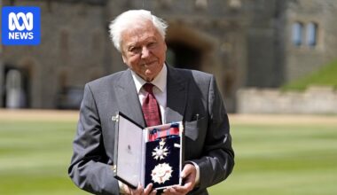 David Attenborough at 100 'warm, well-informed and delightful company'