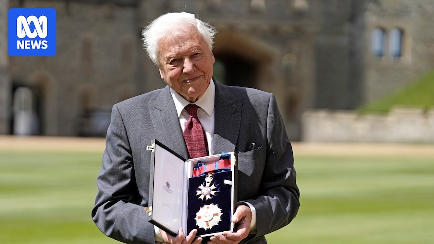 David Attenborough at 100 'warm, well-informed and delightful company'
