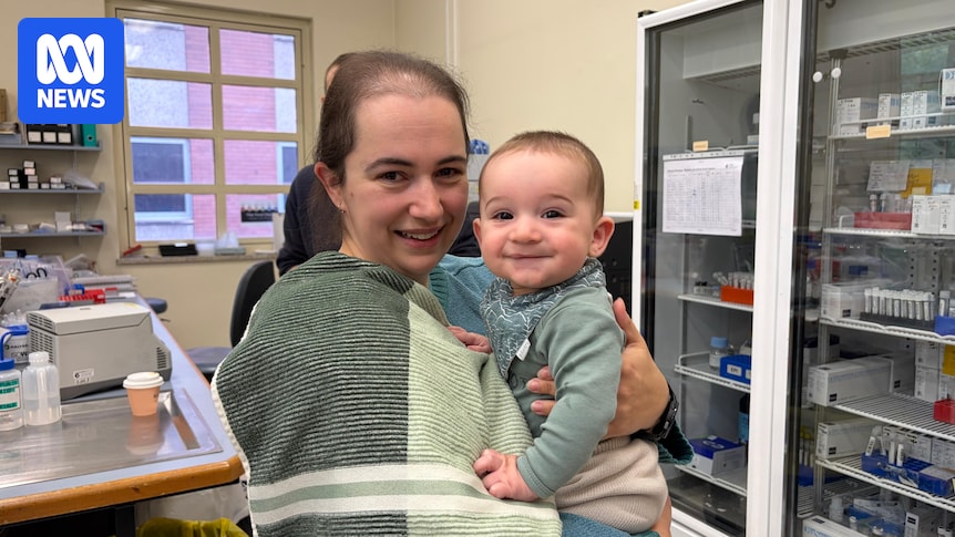 Free omega-3 testing to be introduced in SA for pregnant women in a bid to prevent preterm birth