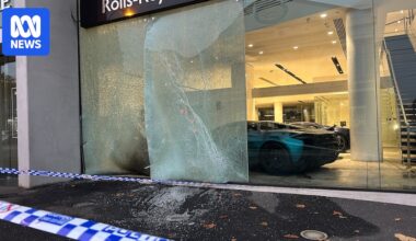 Arsonists smash their way into Melbourne luxury car dealership