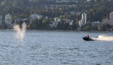 Whale struck by Vancouver jet ski operator seems to be in ‘good condition’: officials - CTV News