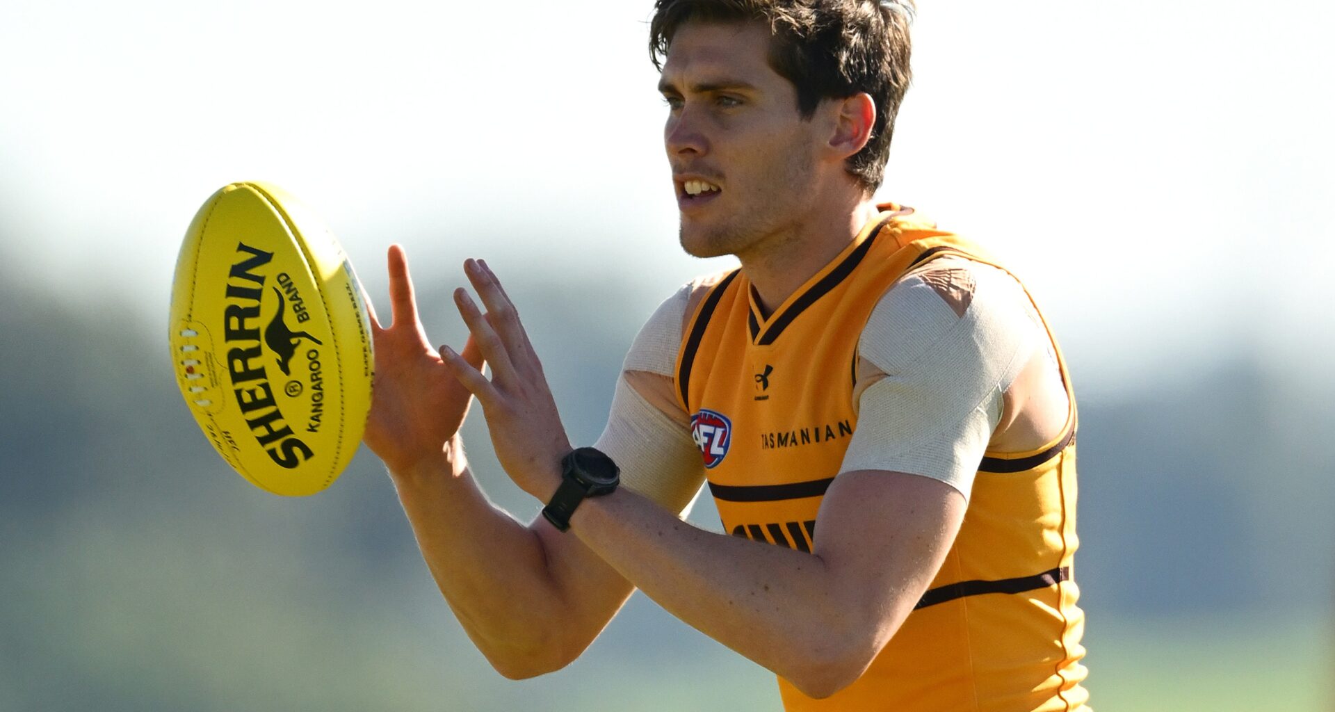 Stream your team: Watch all VFL games LIVE and FREE