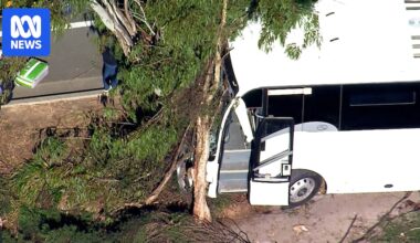 Bus carrying school students crashes into tree in Western Sydney's Erskine Park