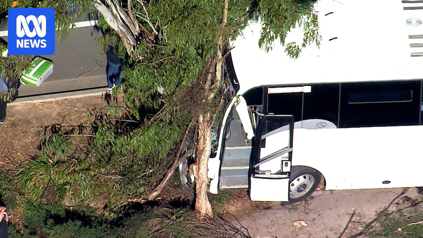 Bus carrying school students crashes into tree in Western Sydney's Erskine Park