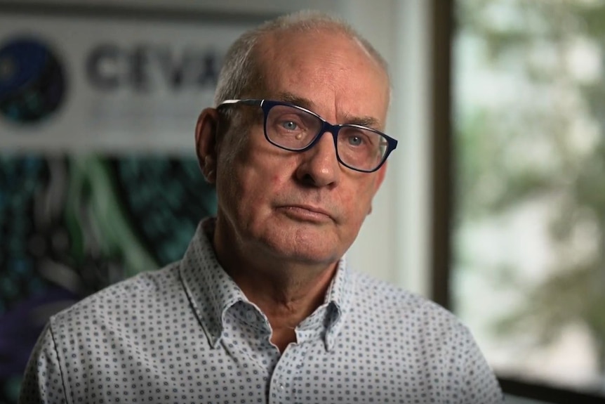 A serious profile of a balding man with glasses, wearing a white shirt. 