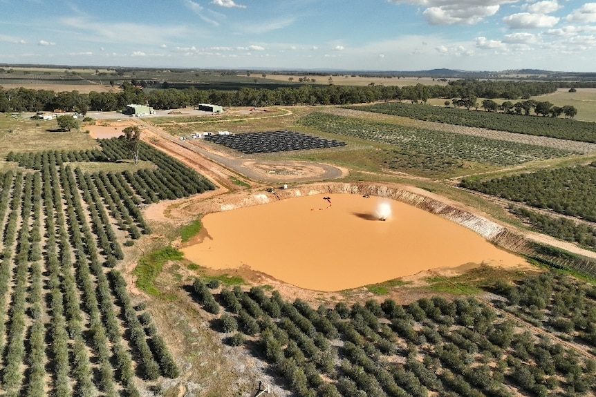 An aerial photo of small eucalyptus trees with a dam in the middle and sheds in the background
