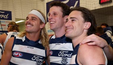 AFL teams and expert tips for round10, including grand final rematch between Brisbane Lions and Geelong Cats