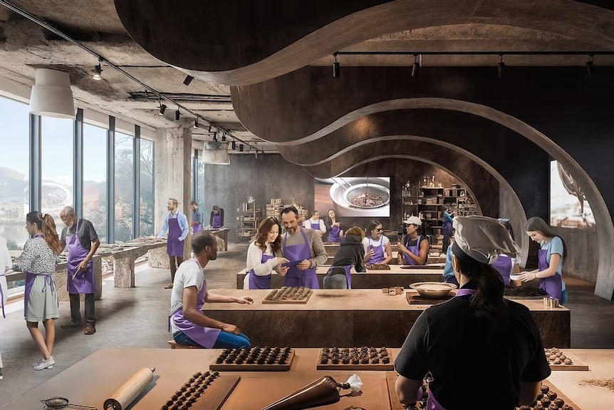 Concept art for chocolate tasting experience.
