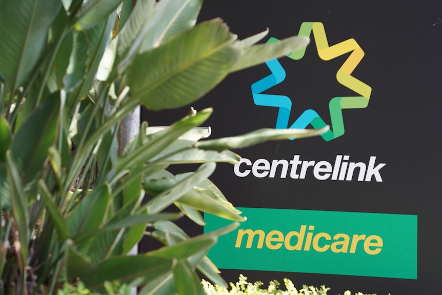 A centrline sign seen through a bush.
