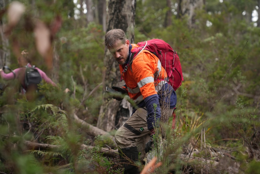 A man in a high-vis shirt searches the forest.