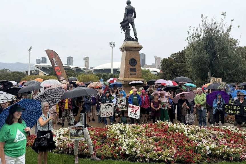 People gathered near a statue, hold umbrellas, placards, flowers growing around the statue. Overcast sky, city in the distance.
