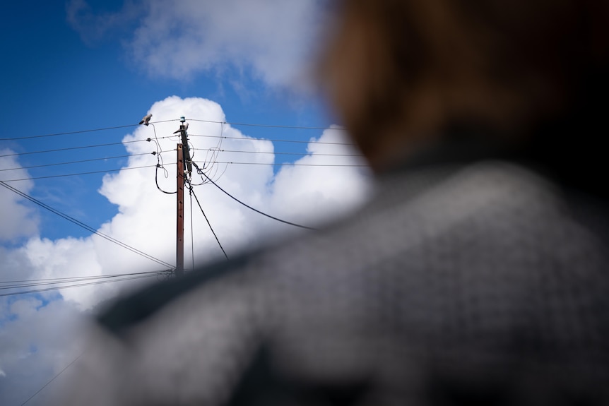 A person looking at powerlines.