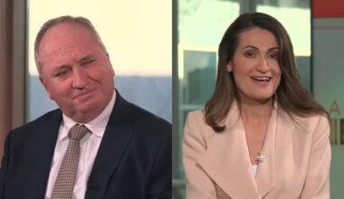 ABC journalist's extraordinary denial over suggestion Farrer win 'will legitimise' One Nation after Pauline Hanson fired back at broadcaster