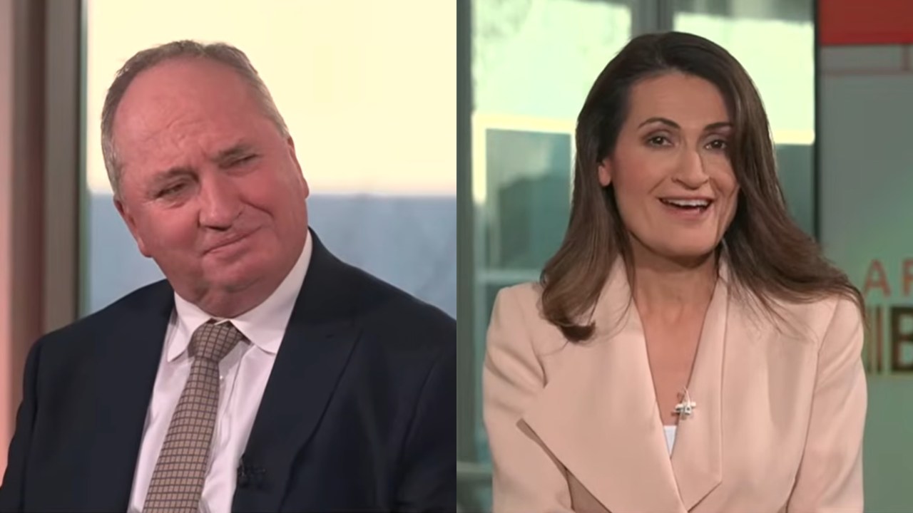 ABC journalist's extraordinary denial over suggestion Farrer win 'will legitimise' One Nation after Pauline Hanson fired back at broadcaster