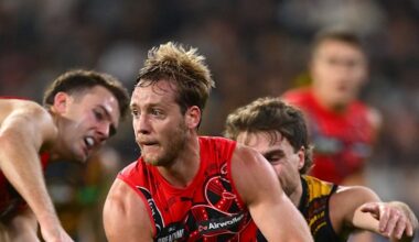 Richmond vs Essendon LIVE: AFL round 11 2026, scores, results, odds, stats and start time from the MCG