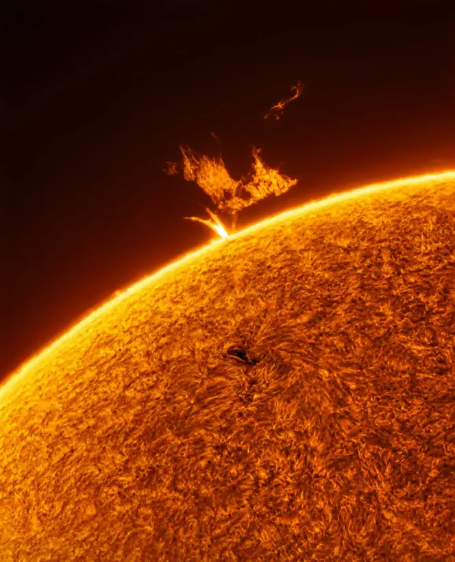 Towering solar flames erupt from surface of the Sun