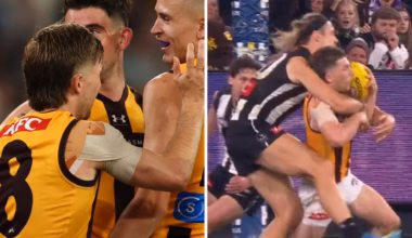 AFL drama as Hawks snatch draw after siren