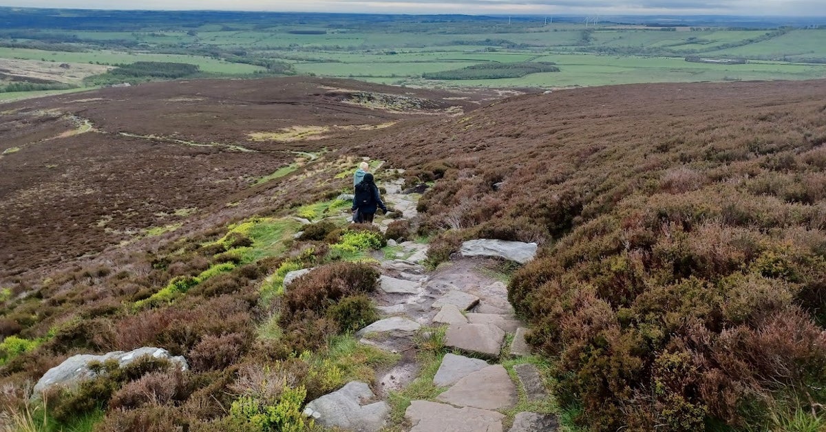Why We Should Walk Downhill More Often As We Age